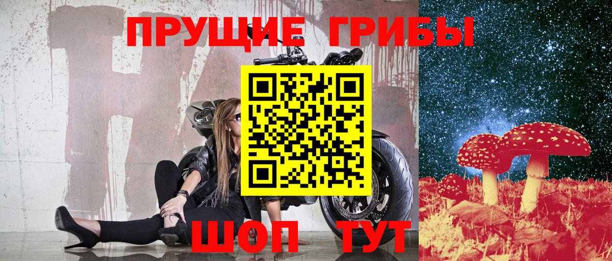 Можайск  Галлюциногенные грибы Psilocybe  где продают наркотики  Галлюциногенные грибы Cubensis  Вход с VPN 